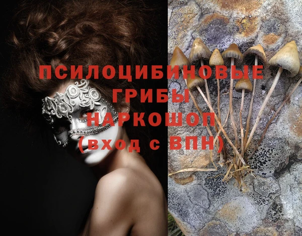 гашишное масло Ельня